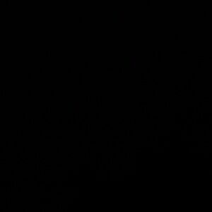 Meet your Posher, Kylie